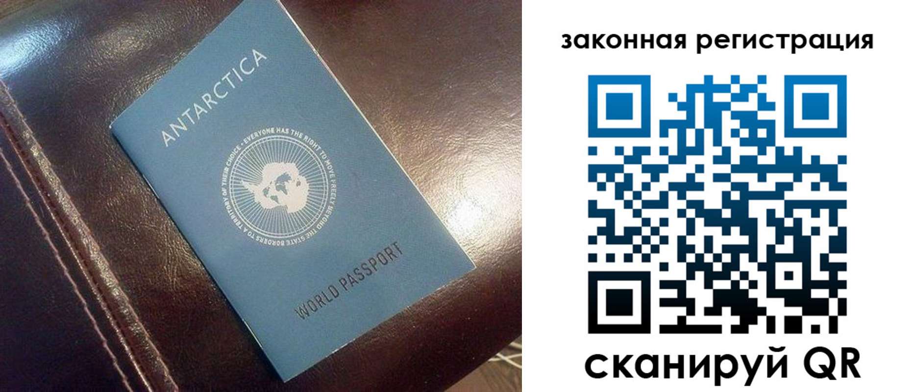 временная регистрация поиск в Курске