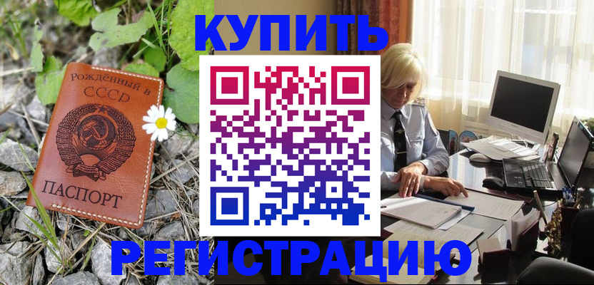 временная регистрация недорого в Курске